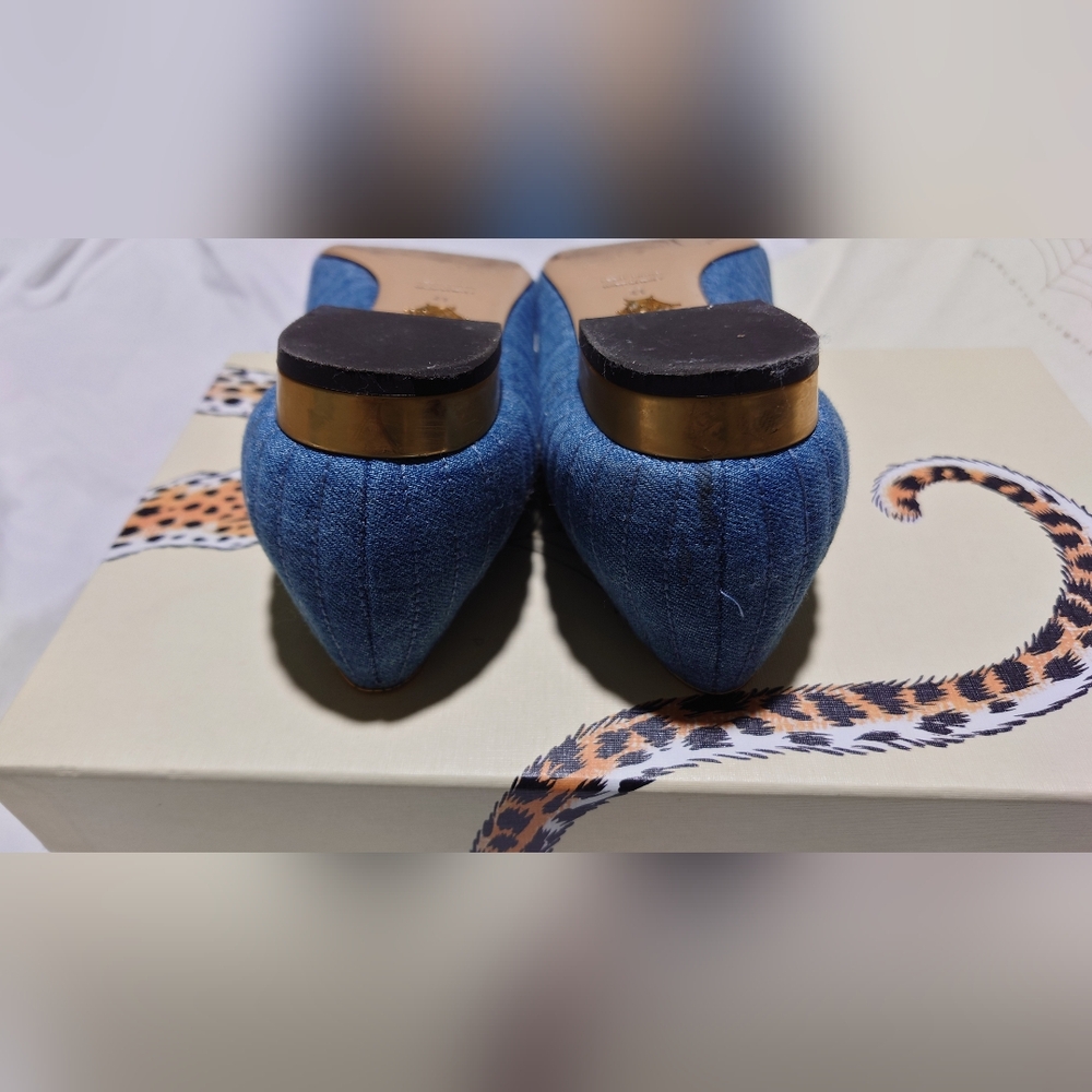 Charlotte Olympia Denim Embroidered Accent Ballet Flats - Picture 4 of 10